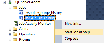 Clicking Start Job at Step