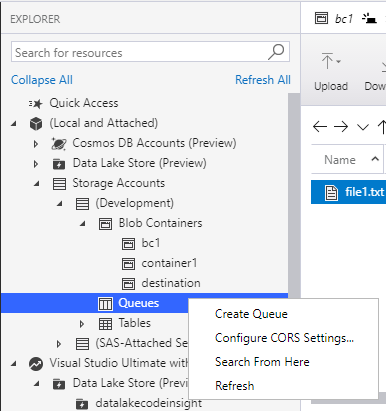 view blobs in azure storage emulator