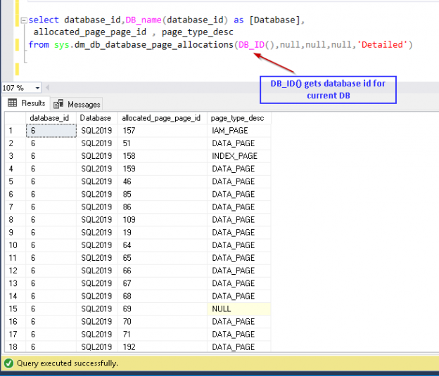 Execute DMV query sys.dm_db_database_page_allocations to get page details