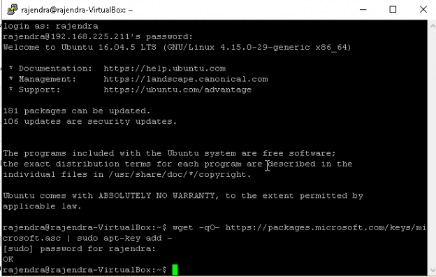 SQL Server 2019 installation on Ubuntu without a Docker Container