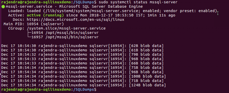 Create A Process Dump Of Sql Server Using Sqldumper Exe Tool Riset ...