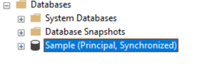 Mirroring synchronized principal database