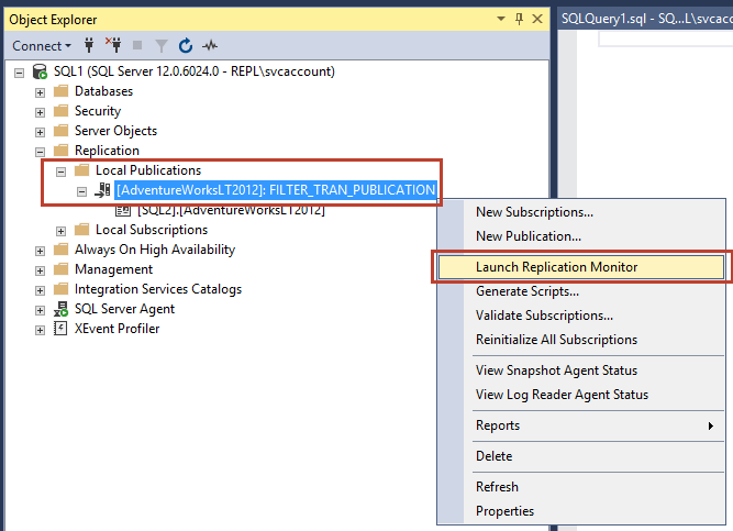 Launch replication monitor