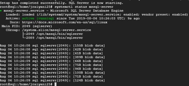 command to setup sql server client in linux