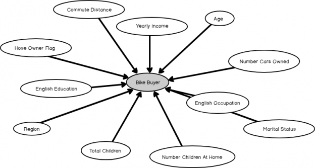 Dependency network of the Decision tree model.