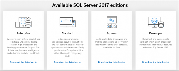 sql server 2017 developer edition limitations