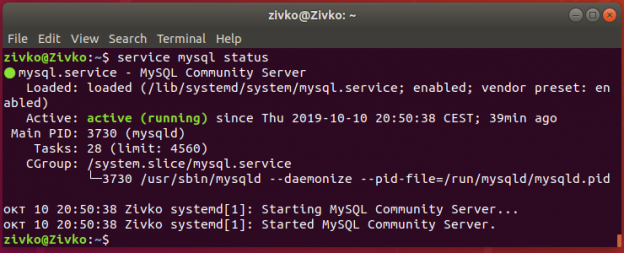 Linux Ubuntu 18.4 terminal - status of MySQL