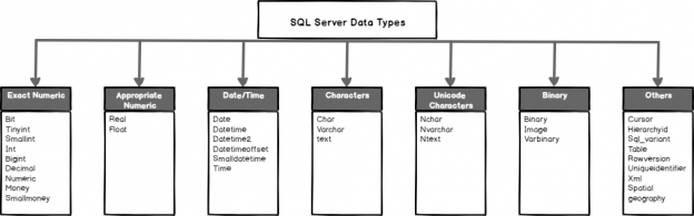 An overview of Server data types