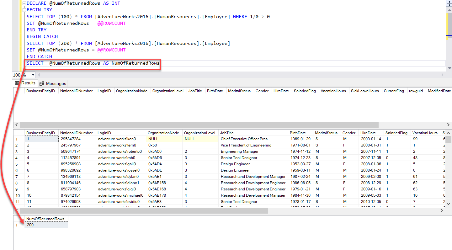 Working With Sql Server Rowcount