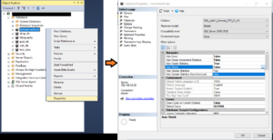 SQL Server Auto Shrink database property