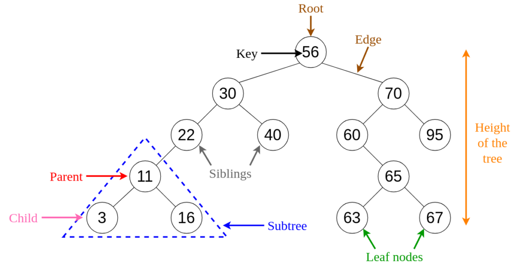 Diving deep with complex Data Structures
