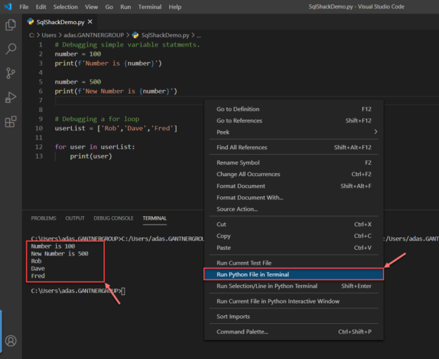 python on visual studio mac