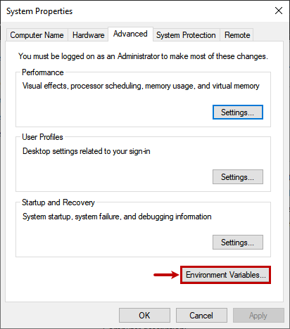 Environment variable