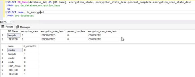 Check encryption state after TDE SCAN