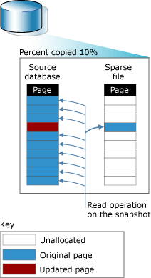 Copy-on-write operation in database snapshot