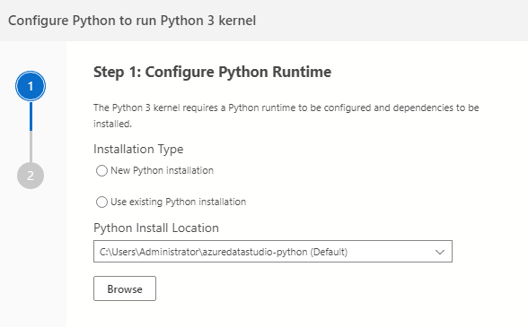 Configure Python runtime