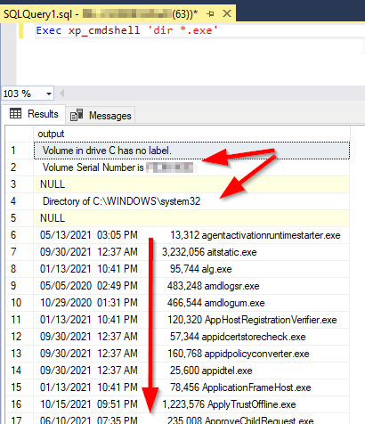 xp_cmdshell output