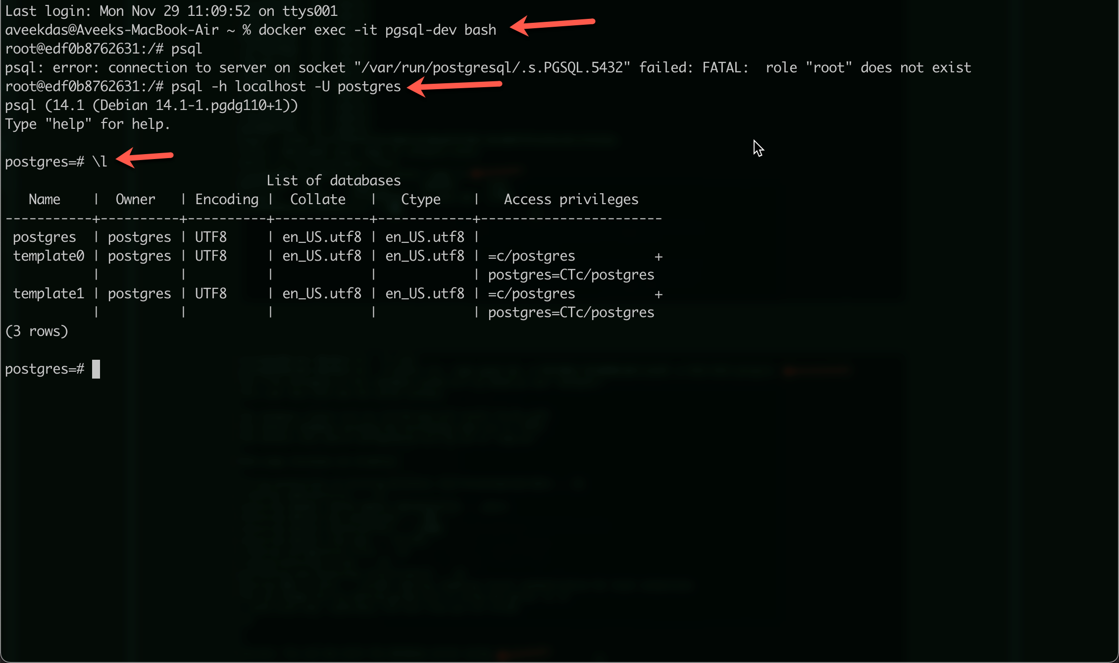 Interacting with the PSQL command line utility from terminal