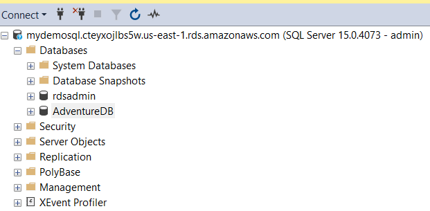 AWS RDS SQL Server demo instance