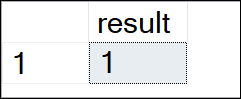 bit data type equal to 1