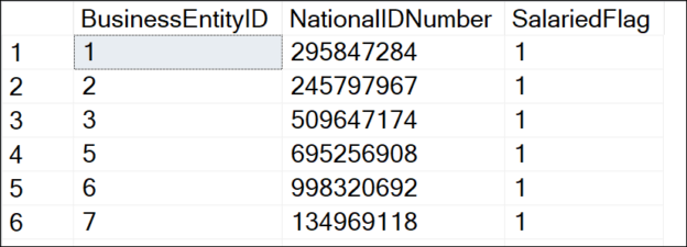 sql boolean in sql query